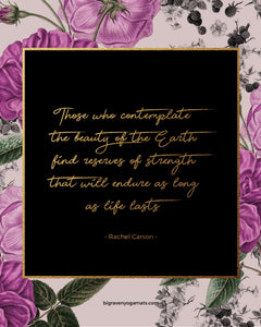 Freebie Friday! 04.19.2019