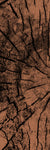 Yoga Mat Thumbnail