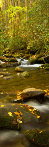 Big Raven Yoga Fall Stream Yoga Mat