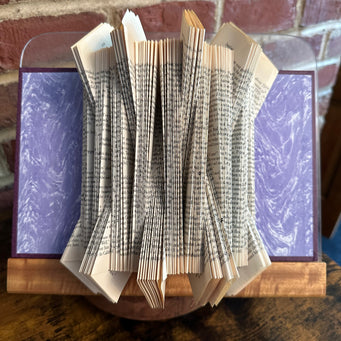 Big Raven Yoga The Colosseum Folded Book Folded Book