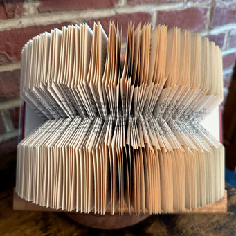 Big Raven Yoga The Lantern Folded Book Folded Book