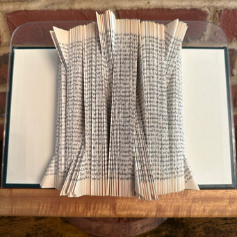 Big Raven Yoga The Imperial Folded Book Folded Book