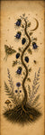 Yoga Mat Thumbnail