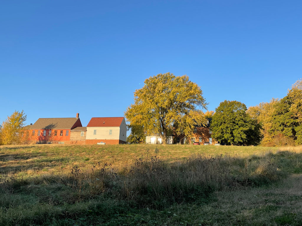 Hidden Gems in Minnesota: Why Big Raven Farm Is a Must-Visit for Retreat Seekers