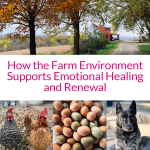 How the Farm Environment Supports Emotional Healing and Renewal