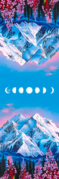 Our Most Popular Collection